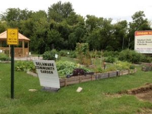 community market